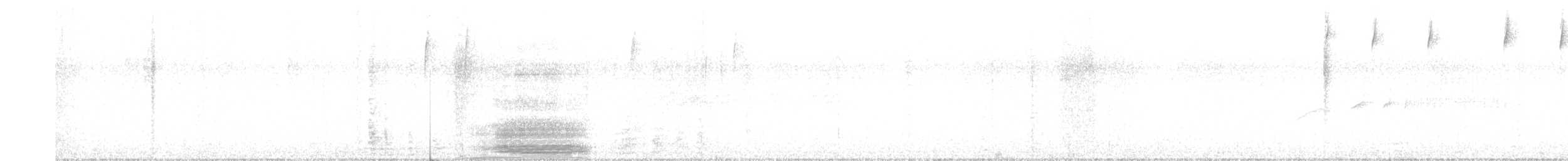 Cinclode à ventre sombre - ML641287094