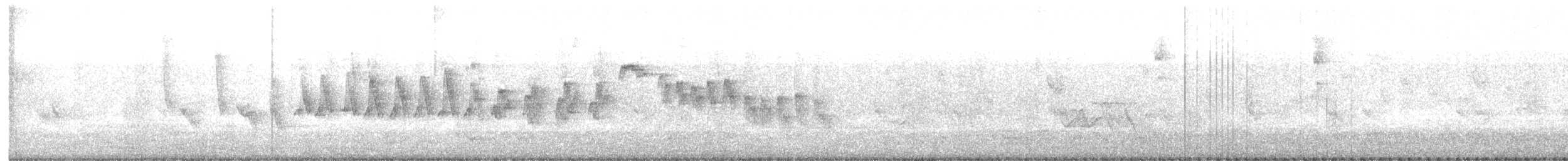 Txioa sp. - ML641291913