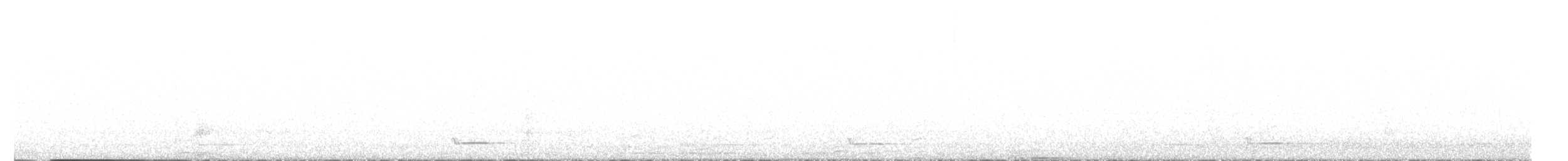 Assiolo - ML641292807