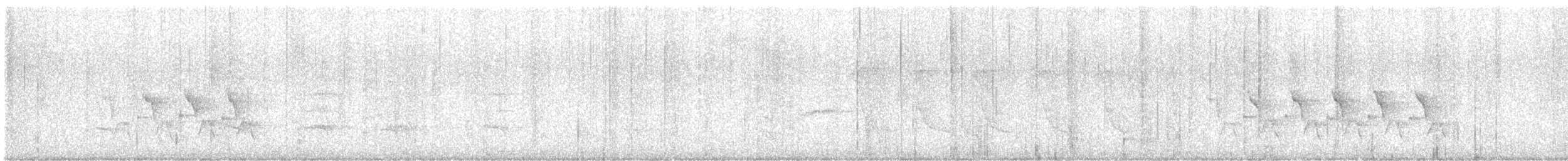 Carolina Wren - ML641292825