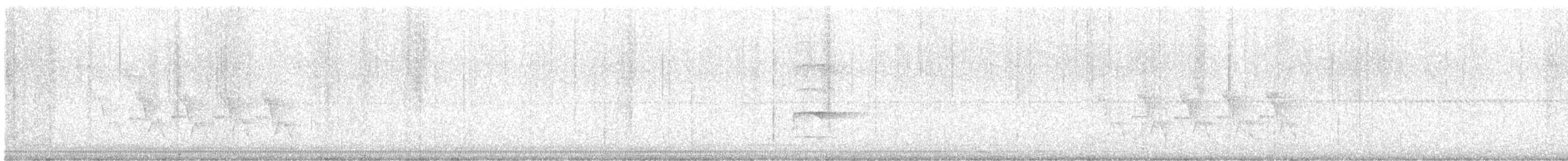 Carolina Wren - ML641292826