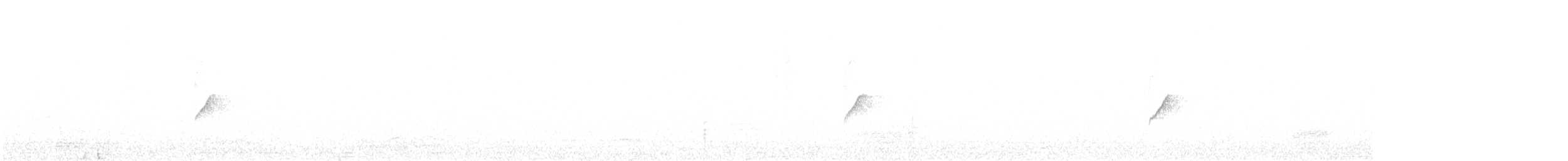 Common Chiffchaff - ML641292890