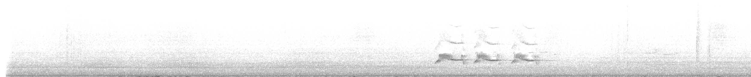 ub. fugl (Aves sp.) - ML641293088