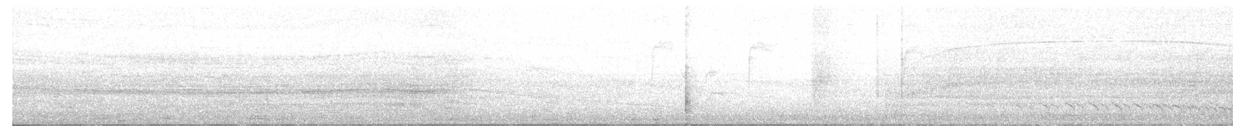 Barred Antshrike - ML641293941