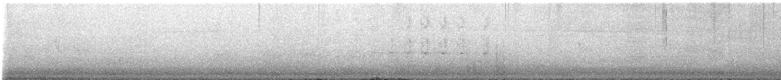 Nuttall's Woodpecker - ML641297486