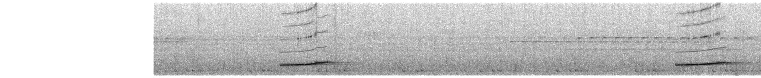 Marbled Wren-Babbler - ML641297902