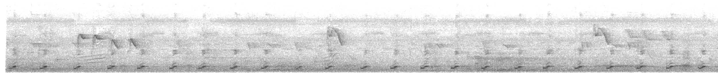 White-breasted Waterhen - ML641298297
