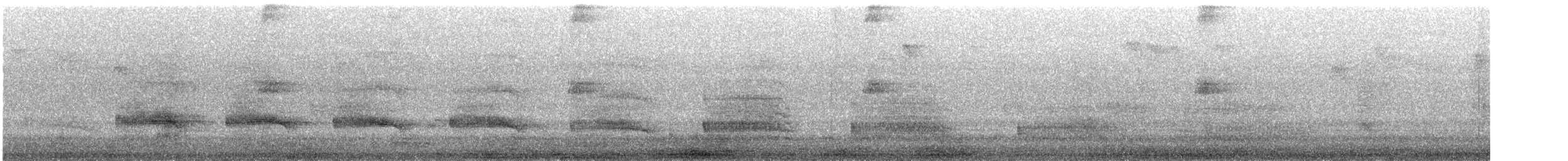 Water Rail - ML641298754