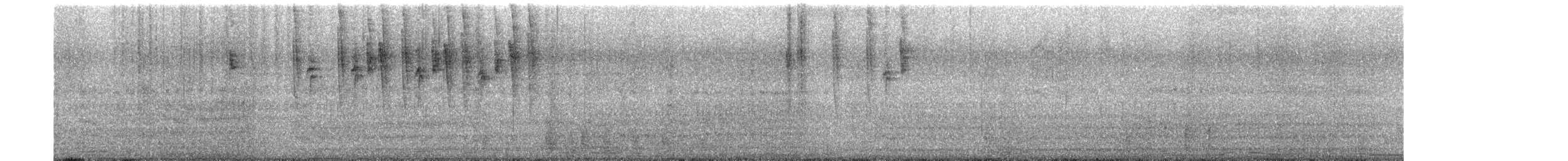 Cinereous Conebill - ML641298798