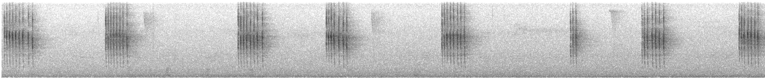 フユミソサザイ - ML641299205