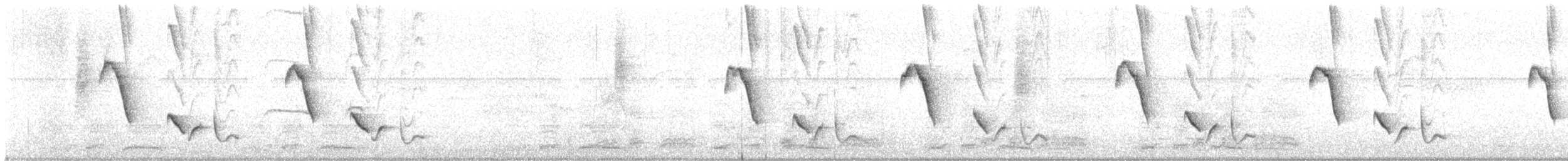 Superciliated Wren - ML641300634