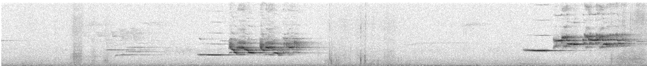 Hermit Thrush (faxoni/crymophilus) - ML64130261