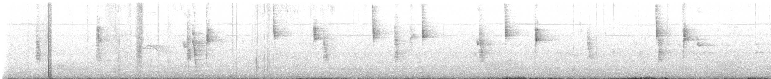 Northern Waterthrush - ML641303826
