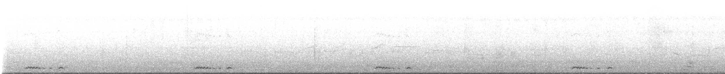 Zebra Dove - ML641305642