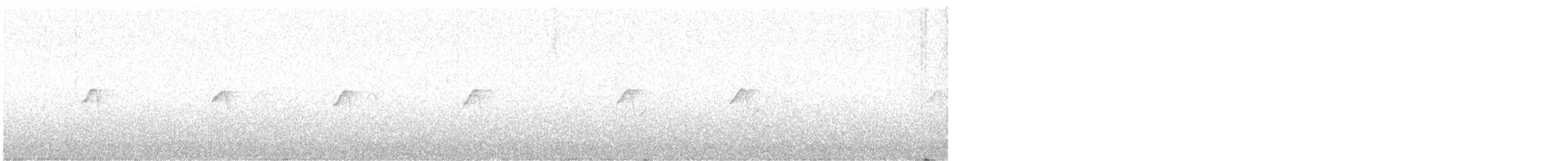 budníček menší - ML641308674