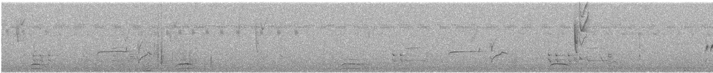 Collared Forest-Falcon - ML641308854