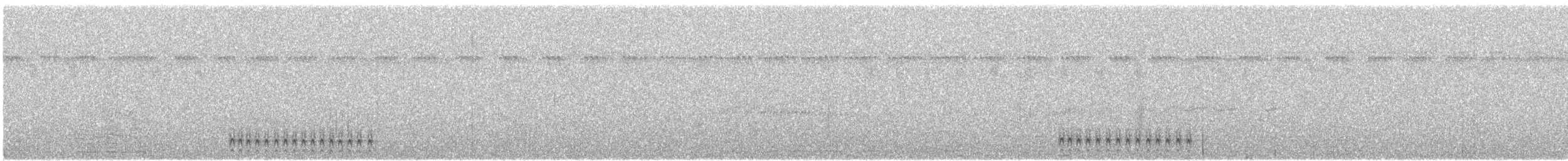 Batara de Pelzeln - ML641309378