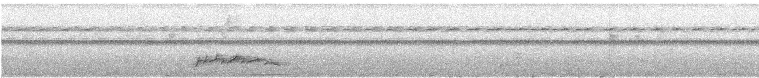 Helmeted Manakin - ML641309619