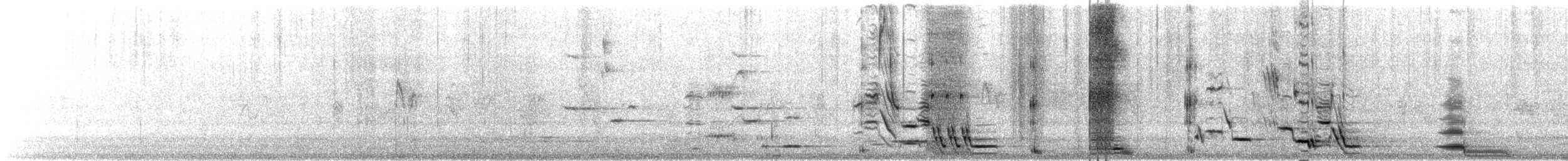 Tui - ML641310154