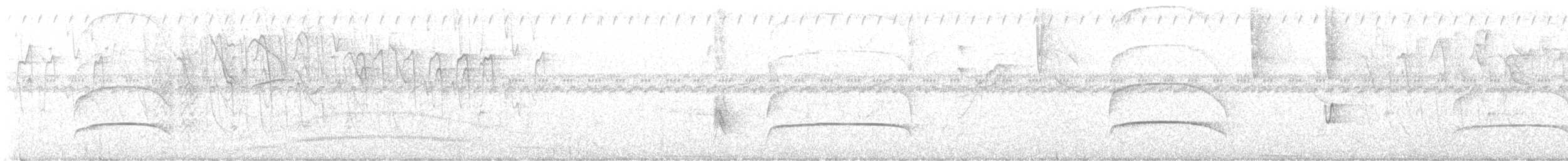 Wattled Guan - ML641312976