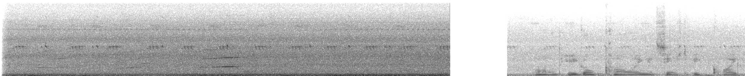 Bald Eagle - ML641314686
