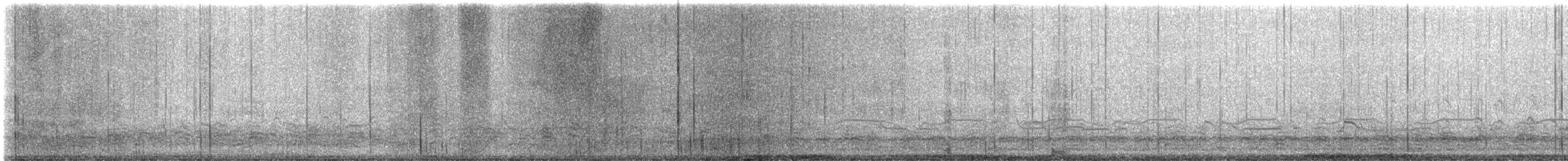 Barnacle Goose - ML641316426