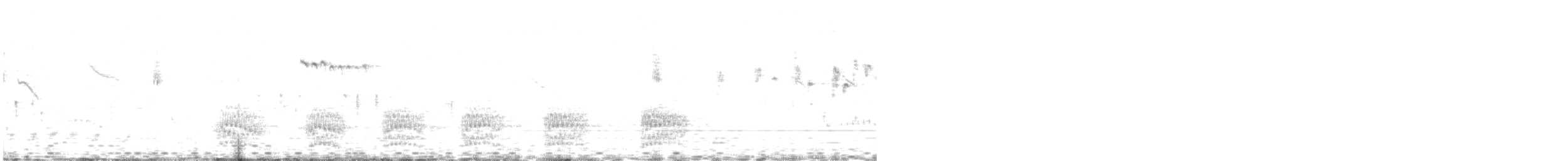 Australian Owlet-nightjar - ML641316477