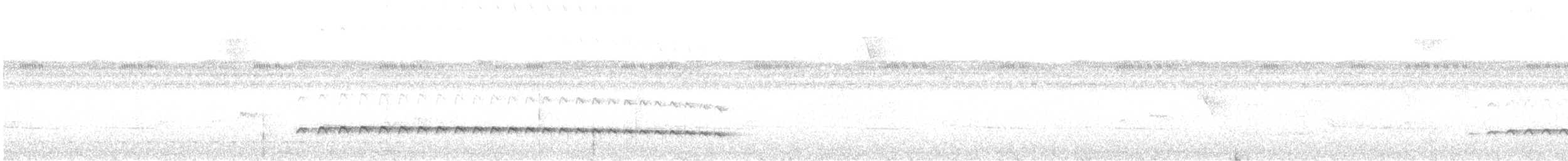 Spot-crowned Antvireo - ML641317021