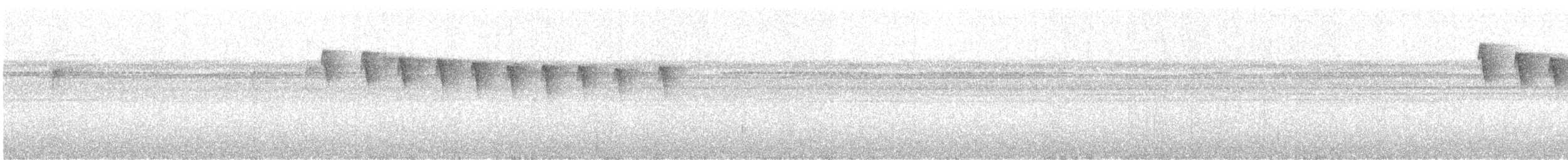 Checker-throated Stipplethroat - ML641317449