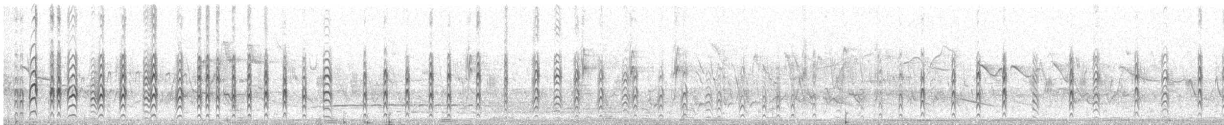 Yellow-billed Tern - ML641317470