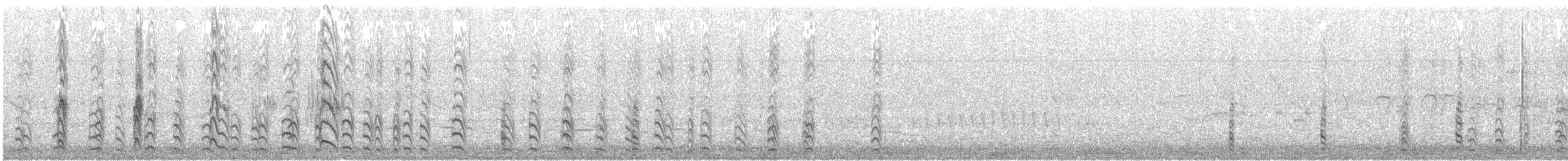 Yellow-billed Tern - ML641317931