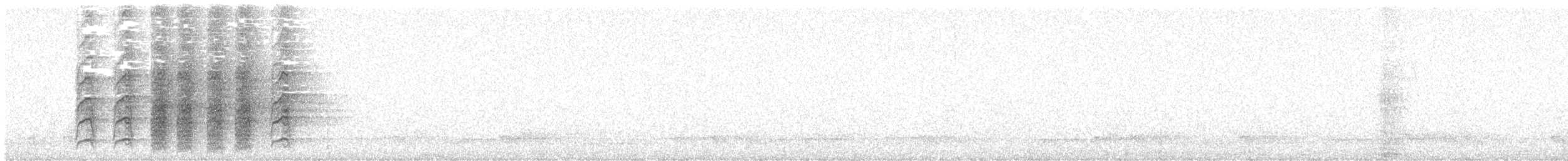 Spangled Drongo - ML641319127