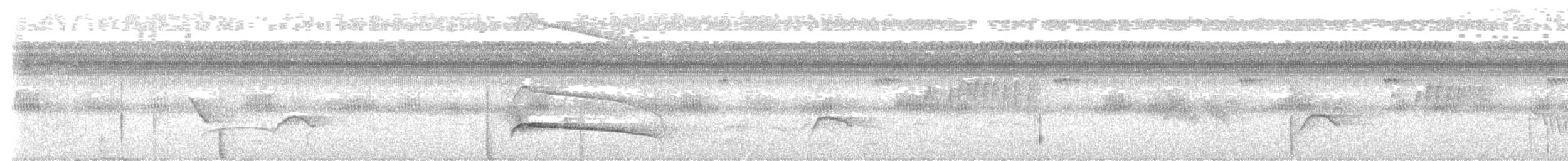 Gray-lined Hawk - ML641320929