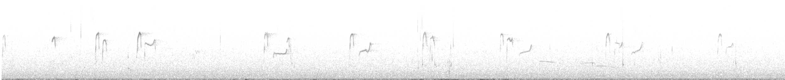 Spotted Sandpiper - ML641321977