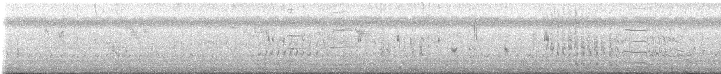 Semipalmated Sandpiper - ML641325335