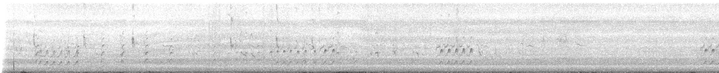 Semipalmated Sandpiper - ML641325575