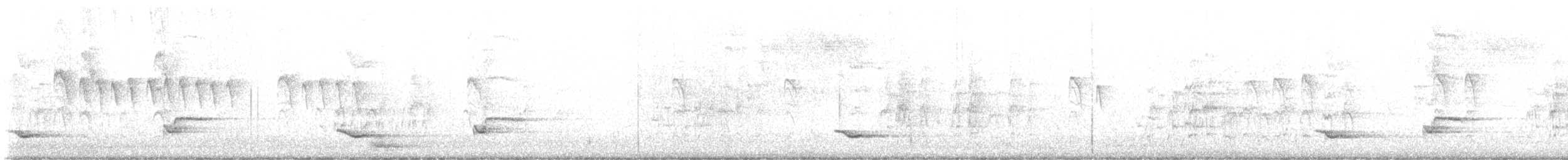 White-winged Parakeet - ML641325757