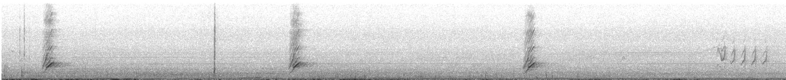 Méliphage à oreillons bleus - ML641326585