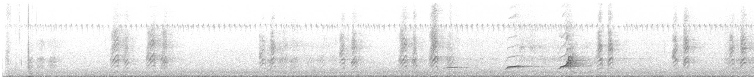 Colino della Virginia - ML641326606