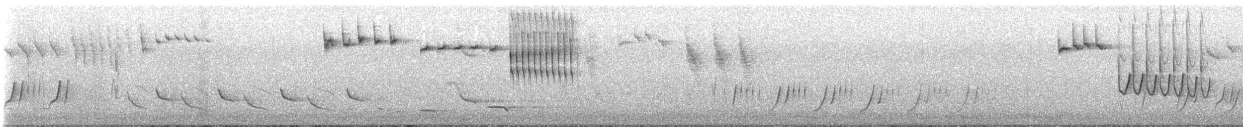 ノドジロセスジムシクイ - ML641326933