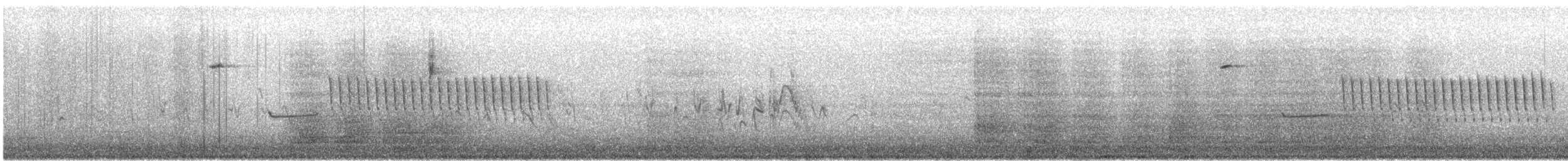 フタスジスズメモドキ - ML641327156