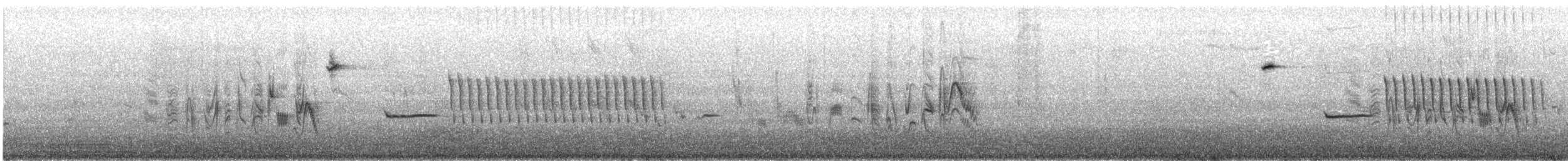 フタスジスズメモドキ - ML641327157