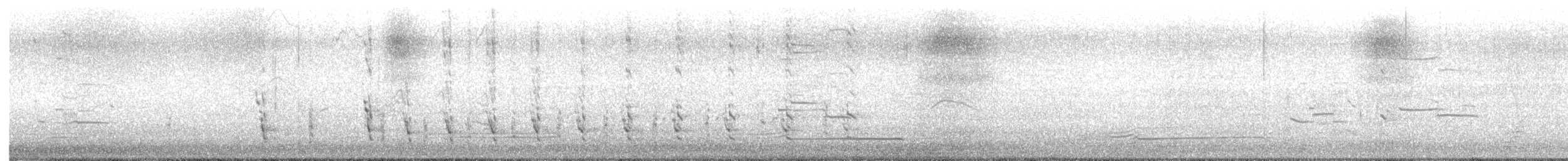American Herring Gull - ML641327491