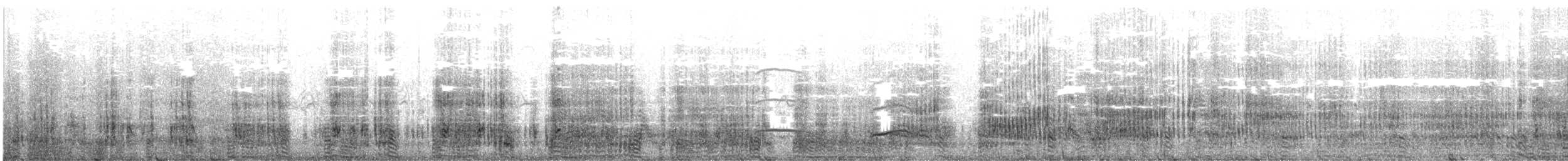 Пінгвін чубатий - ML641329691