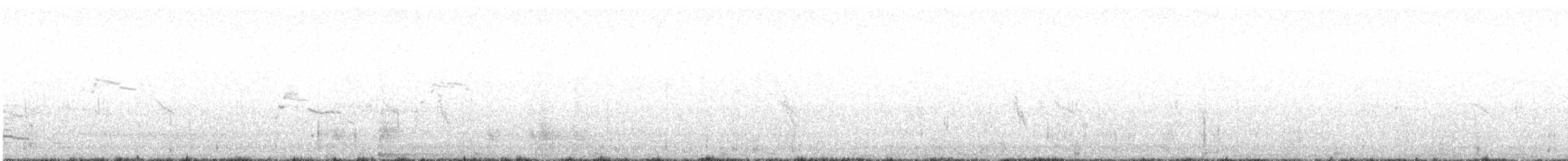 Larus sp. - ML641332156