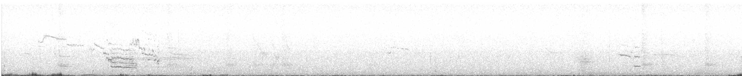 Larus sp. - ML641332157