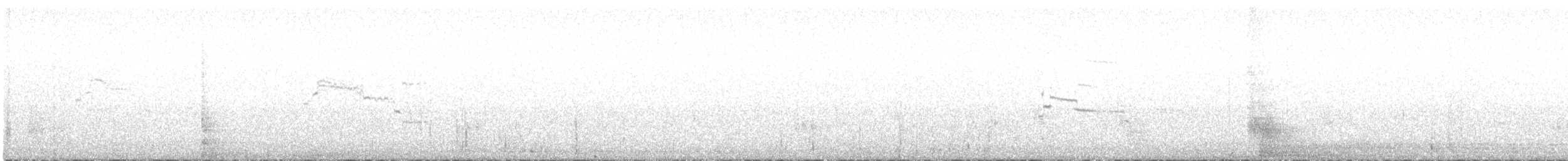 Larus sp. - ML641332158