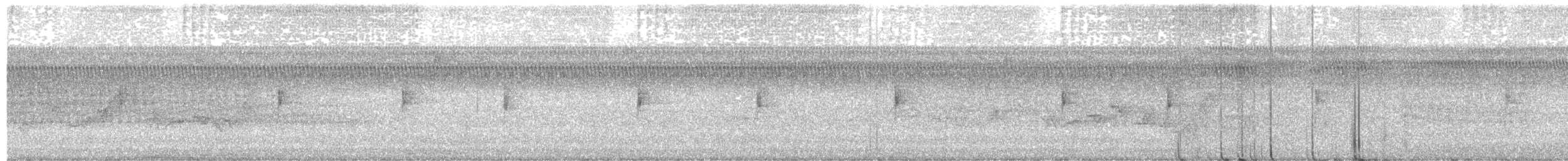 Northern Waterthrush - ML641333854