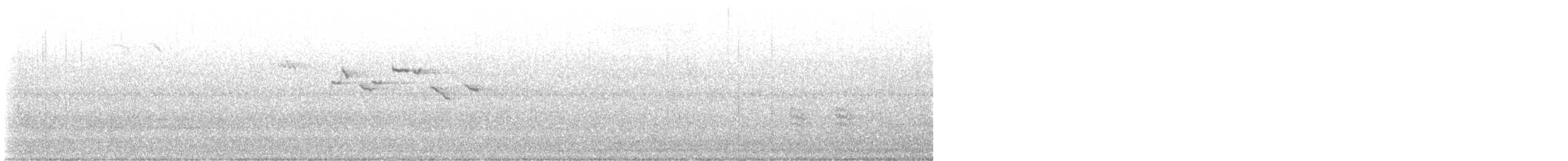 Amerikabaumläufer - ML641335723