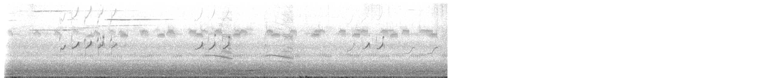 Solitary Sandpiper - ML641336178